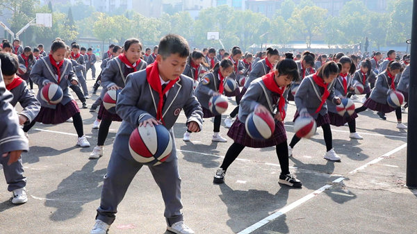 子龙1.jpg