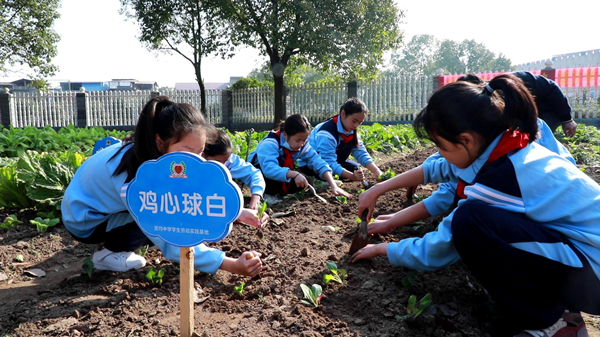 官垱中学.jpg