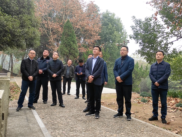 手机报 彭晛丹.jpg