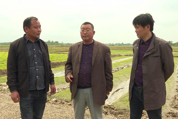虎湖农场3.jpg