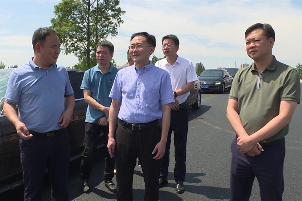 手机报 张阳.png
