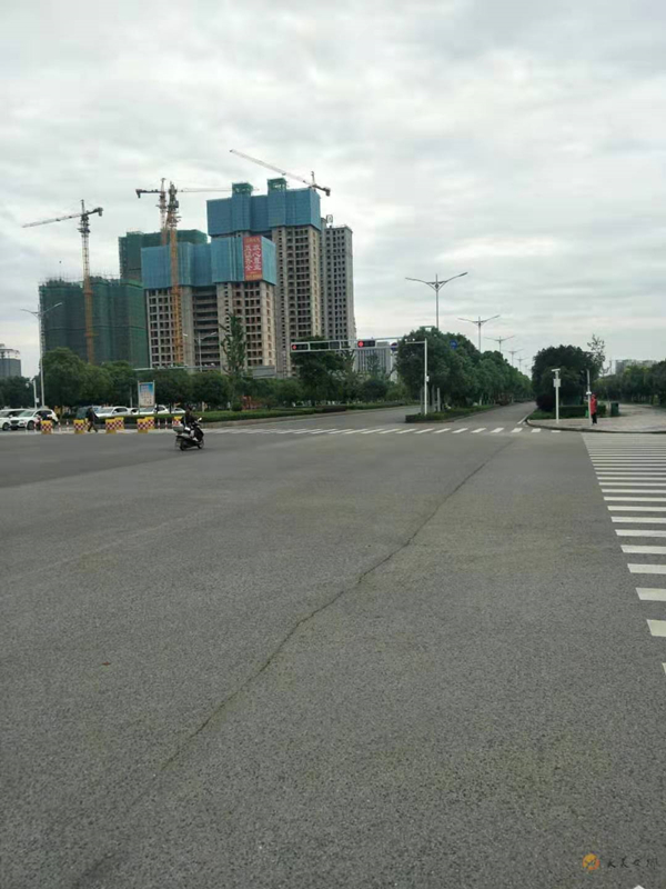 手机报 不文明行为.jpg