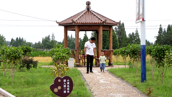 手机报  向阳村.jpg