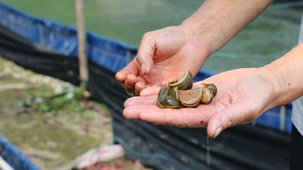 暴风截图202495255523787.jpg 暴风截图202495255523787.jpg