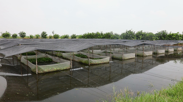 暴风截图202495255552757.jpg 暴风截图202495255552757.jpg