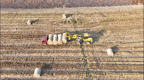 DJI_20251010164258_0085_D[00-00-08][20251013-084435787].jpg