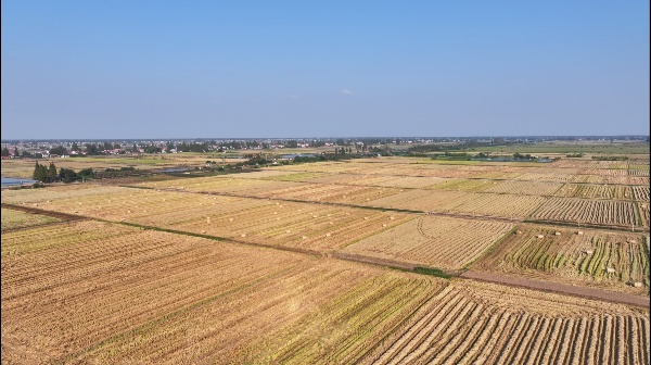 DJI_20251010162400_0080_D[00-00-01][20251013-084446556].jpg