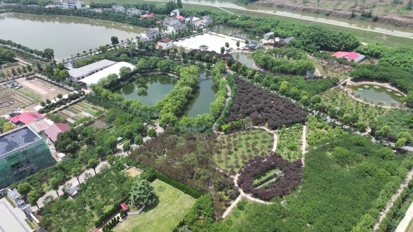 DJI_20250516120247_0936_D[00-00-02][20250528-090815403].jpg