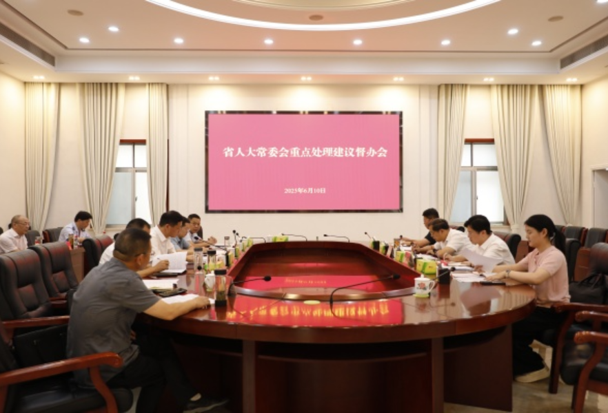 省人大常委会调研组来安督办重点处理建议
