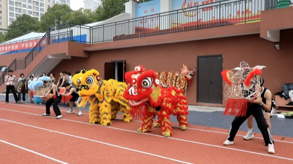 20260213154653.jpg 20260213154653.jpg