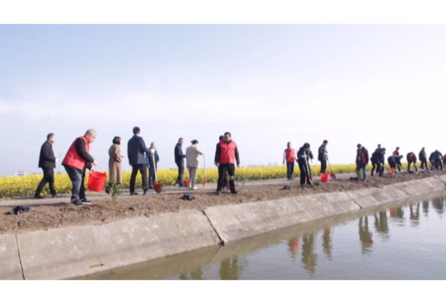 “挥锹添新绿，不负好春光” 安乡县 开展2026年义务植树活动