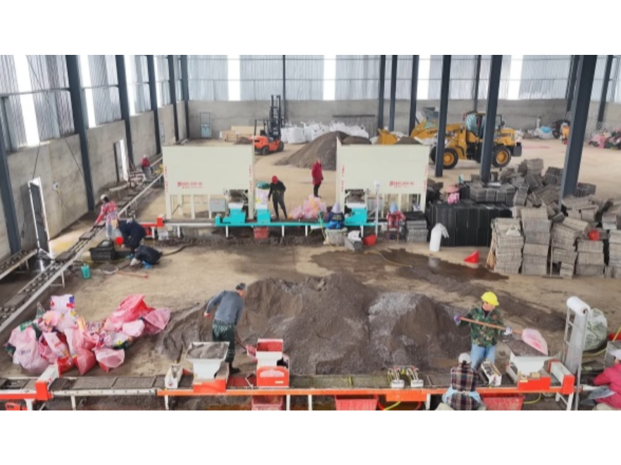 安乡：春耕备耕忙 科技助力育秧跑出“加速度”