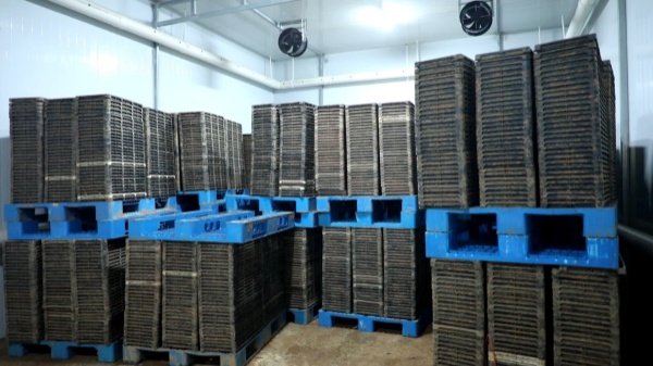 160A0226.MOV.jpg 160A0226.MOV.jpg