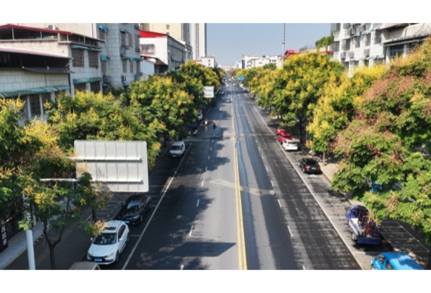 安乡城区栾树花开