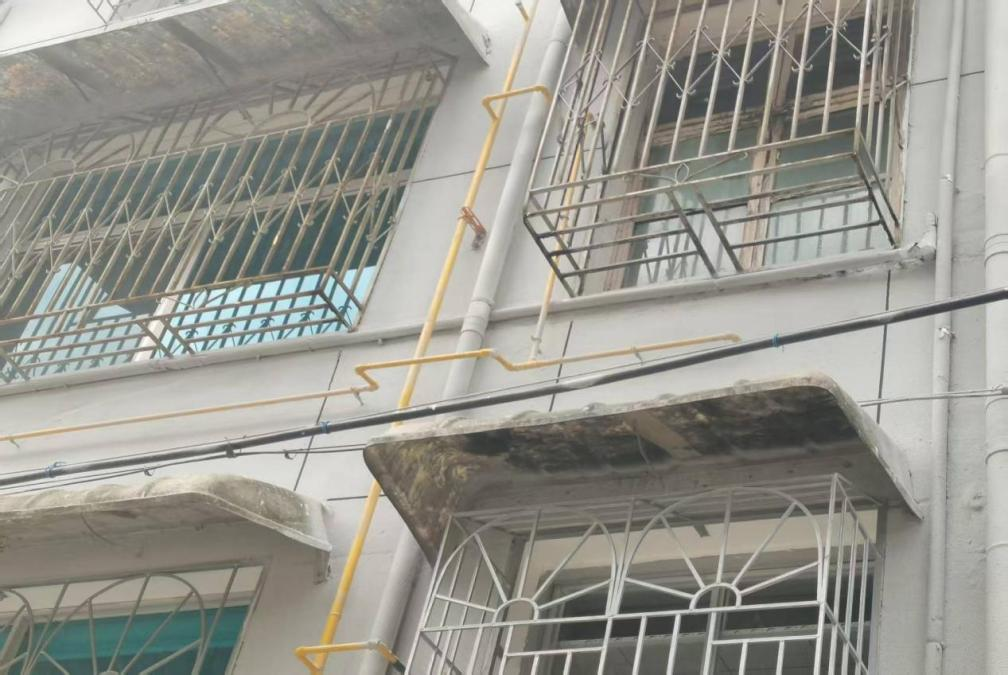 图片4.png 图片4.png