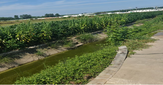 微信图片_20251211095657_665_106.png 微信图片_20251211095657_665_106.png