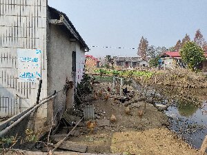 微信图片_20251218164218_721_106.jpg 微信图片_20251218164218_721_106.jpg