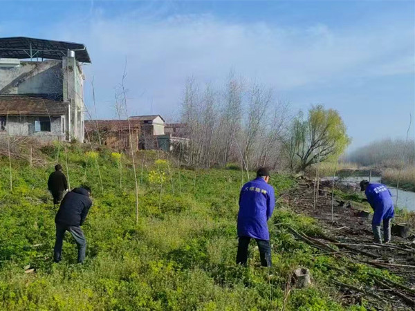 微信图片_20260327091234_622_53.jpg 微信图片_20260327091234_622_53.jpg