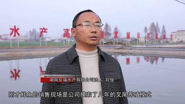 安乡：冬捕起网鱼满仓 特色产业迎丰收[00-00-36][20250113-090245142].jpg