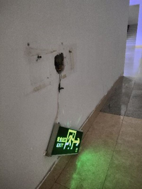 44 (2).jpg