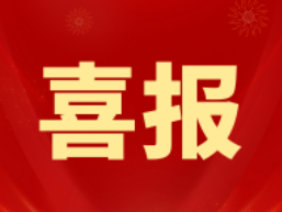 安乡县在第二十六届省中小学生信息素养活动中再获佳绩 八次荣获省优秀组织单位