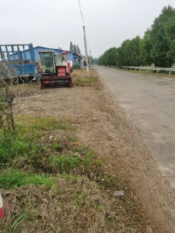 11 (2).jpg 11 (2).jpg