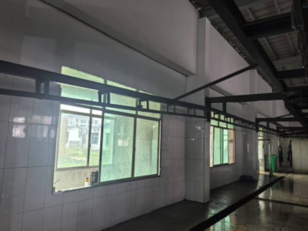 33 (2).png 33 (2).png