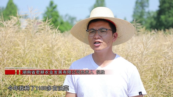 安乡县：62万亩油菜喜迎丰收[00-00-33][20250519-15345001].jpg
