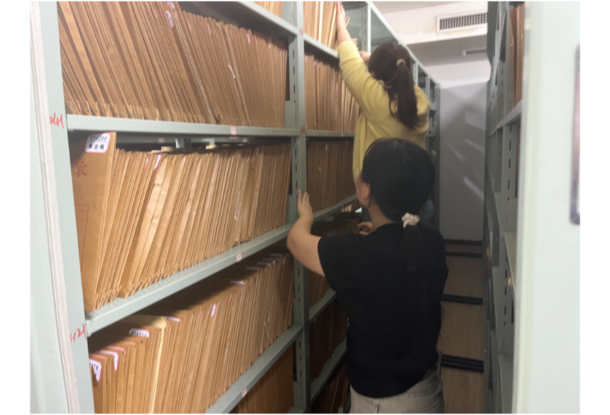 搭建见习成长平台 赋能青年就业成才—— 县人社局扎实做好内部就业见习工作
