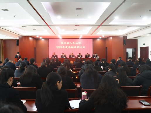 安乡法院召开2025年度工作总结表彰大会