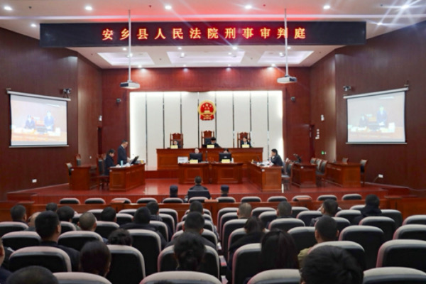 IMG_3233.jpeg IMG_3233.jpeg