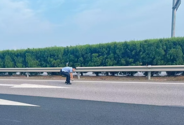 交管大队：钢管遗漏高速 民警紧急排险