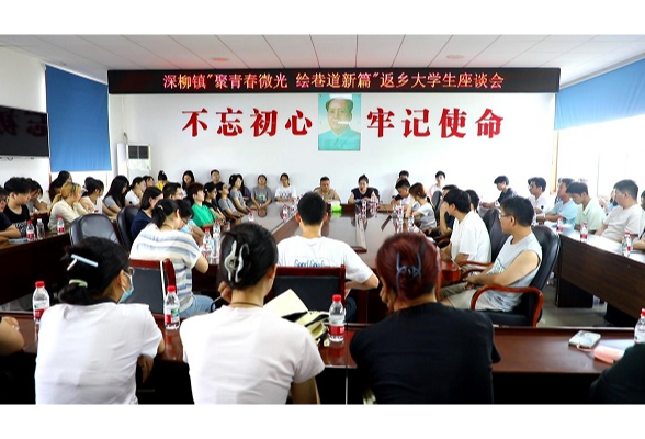 聚青春微光 绘巷道新篇——深柳镇召开返乡大学生建言献策座谈会