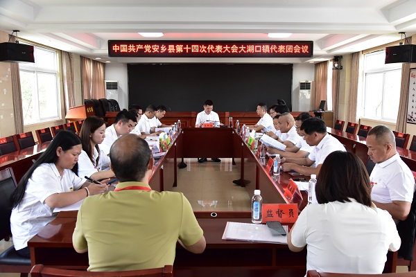 大湖口镇代表团会议.jpg