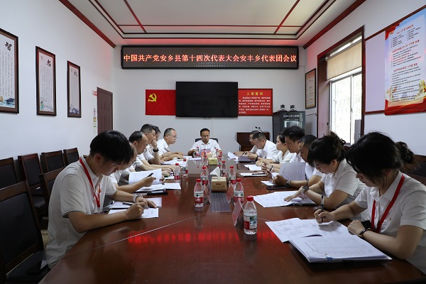 安丰县代表团.jpg