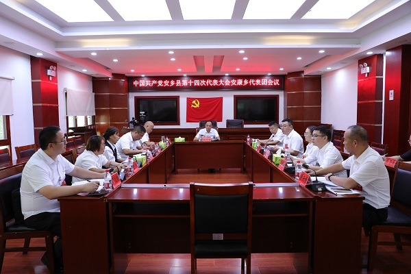 安康乡代表团.jpg
