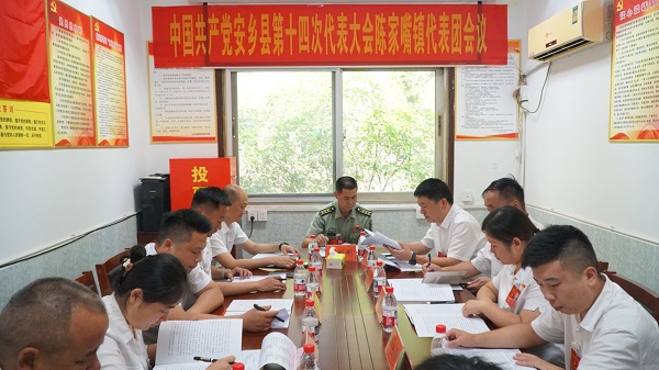 陈家嘴镇代表团.jpg