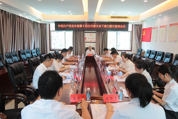 下渔口镇代表团.jpg