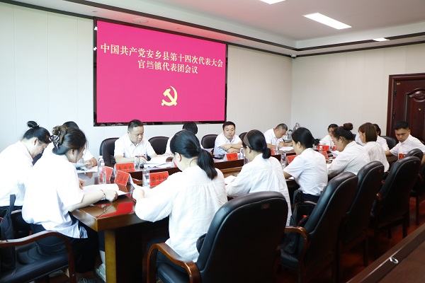 官垱镇代表团.jpg