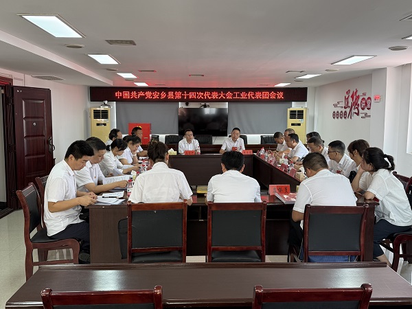 工业代表团.jpg