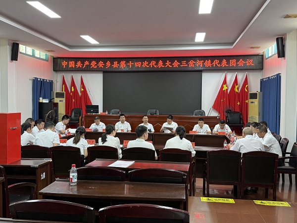 三岔河镇代表团.jpg