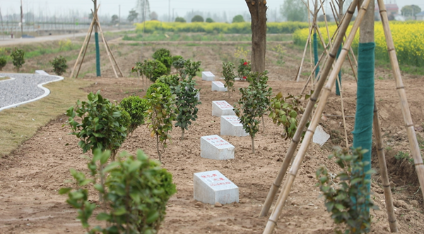 ScreenShot_2025-10-29_154347_527.png ScreenShot_2025-10-29_154347_527.png