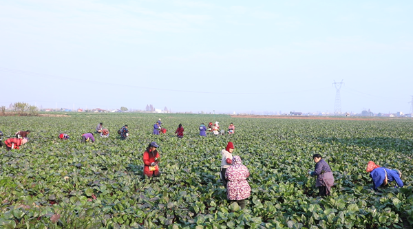 ScreenShot_2025-11-17_085531_964.png ScreenShot_2025-11-17_085531_964.png