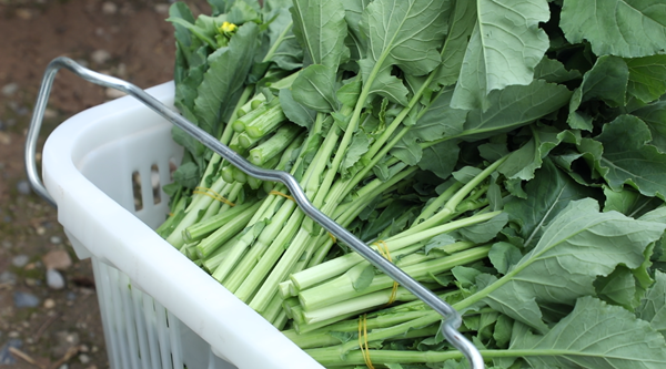 ScreenShot_2025-11-17_085556_204.png ScreenShot_2025-11-17_085556_204.png