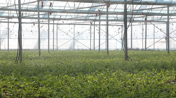 e0f2aef2-46a2-4965-a4fb-0f31ee815769.png e0f2aef2-46a2-4965-a4fb-0f31ee815769.png