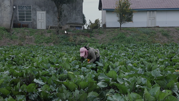 屏幕截图2025.12.09.png 屏幕截图2025.12.09.png