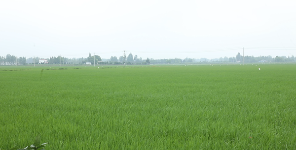 微信图片_2025-08-14_110448_198.png
