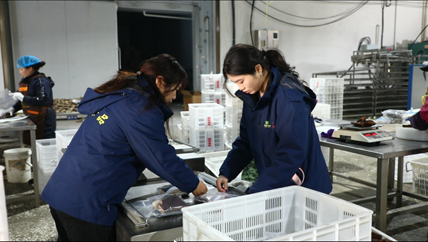 屏幕截图2026.01.8.png 屏幕截图2026.01.8.png