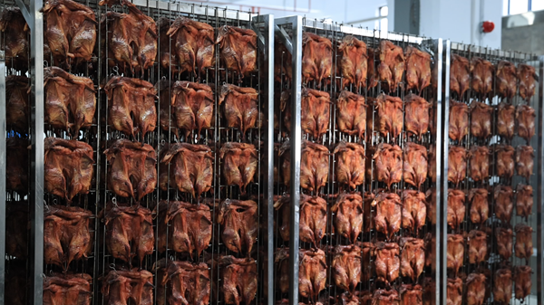 屏幕截图 2026-02-12 150723.png