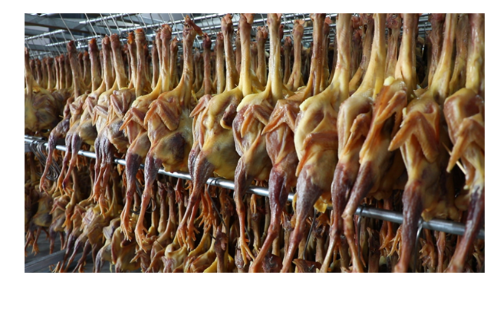 【新春走基层】湖南省俊淞食品：全力冲刺春节年货市场